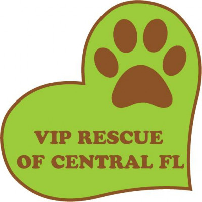 VIP Rescue Of Central Florida, Inc. - Pet Shelter and Rescue in Maitland, Florida