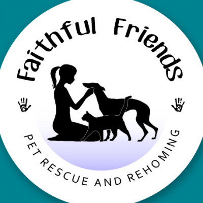 Faithful Friends Pet Rescue And Rehoming - Pet Shelter and Rescue in Williston, Florida