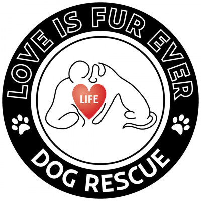 Love Is Fur Ever Dog Rescue - Pet Shelter and Rescue in Lehigh Acres, Florida