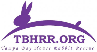 Tampa Bay House Rabbit Rescue - Pet Shelter and Rescue in Brandon, Florida