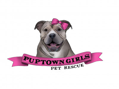 Puptown Girls Pet Rescue, Inc - Pet Shelter and Rescue in Temple Terrace, Florida