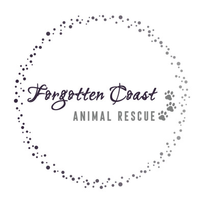 Forgotten Coast Animal Rescue, Inc. - Pet Shelter and Rescue in Port St. Joe, Florida