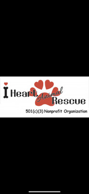 I Heart Animal Rescue Inc. - Pet Shelter and Rescue in Fort Lauderdale, Florida
