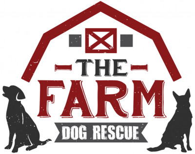 The Farm Dog Rescue - Pet Shelter and Rescue in Palm City, Florida