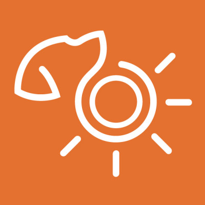 Sunshine Big Dog Rescue - Pet Shelter and Rescue in Plant City, Florida