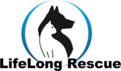 Life Long Rescue (LLR) - Pet Shelter and Rescue in Dallas, Texas
