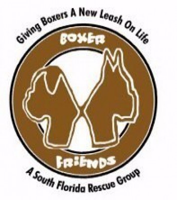 Boxer Friends, Inc. (Boxer Rescue) - Pet Shelter and Rescue in Fort Lauderdale, Florida