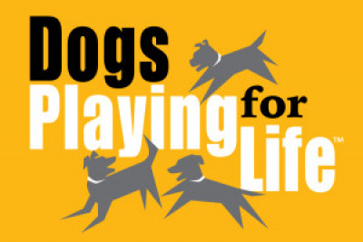 Dogs Playing For Life - Pet Shelter and Rescue in Wellborn, Florida