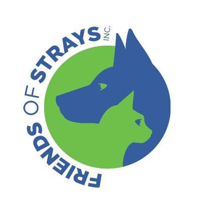 Friends Of Strays Inc. - Pet Shelter and Rescue in St. Petersburg, Florida