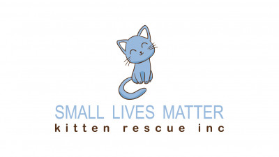 Small Lives Matter Kitten Rescue - Pet Shelter and Rescue in St. Augustine, Florida