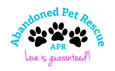 Abandoned Pet Rescue - Pet Shelter and Rescue in Fort Lauderdale, Florida