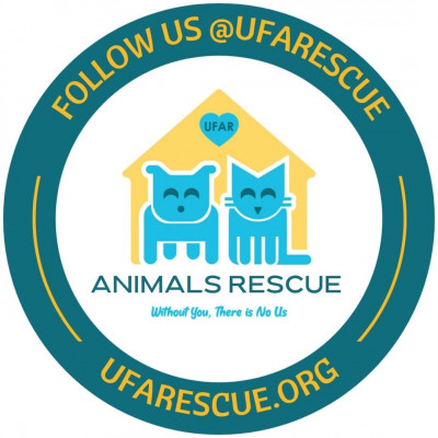 United For Animals Rescue - Pet Shelter and Rescue in Margate, Florida
