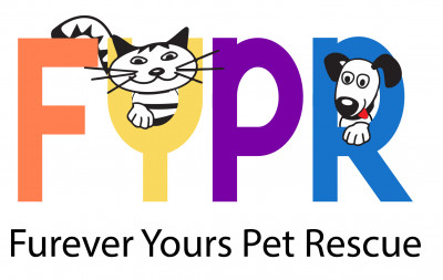 Furever Yours Pet Rescue And Placement Services - Pet Shelter and Rescue