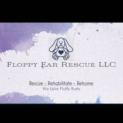 Floppy Ear Rescue LLC - Pet Shelter and Rescue