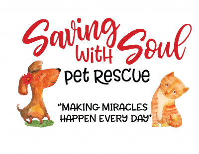 Saving With Soul Pet Rescue, Inc. - Pet Shelter and Rescue in Fort Walton Beach, Florida
