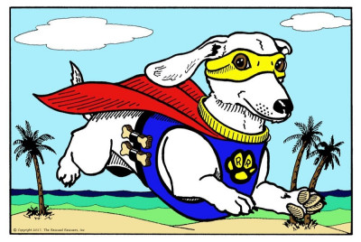 The Rescued Rescuers, Inc. - Pet Shelter and Rescue in Fort Walton Beach, Florida