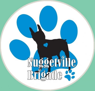 Nuggetville Brigade - Pet Shelter and Rescue in Davie, Florida
