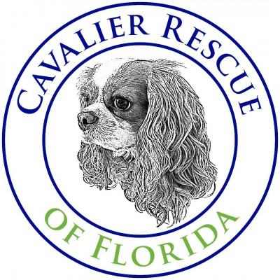 Cavalier Rescue Of Florida, Inc. - Pet Shelter and Rescue in Atlantic Beach, Florida