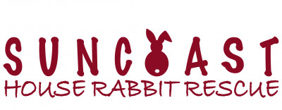 Suncoast House Rabbit Rescue - Pet Shelter and Rescue in Holiday, Florida