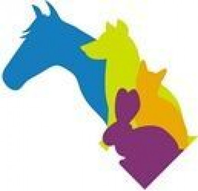 Osceola County Animal Services - Pet Shelter and Rescue in St. Cloud, Florida