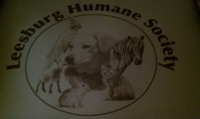 Leesburg Humane Society - Pet Shelter and Rescue in Leesburg, Florida