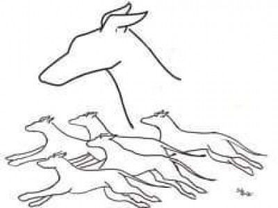 Greyhound Gang Of Florida Inc. - Pet Shelter and Rescue in Brandon, Florida