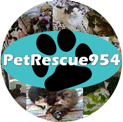 PetRescue954 - Pet Shelter and Rescue in Miami Gardens, Florida