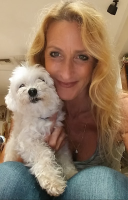 Cat Crusade Adoption & Rescue - Pet Shelter and Rescue in Fort Lauderdale, Florida