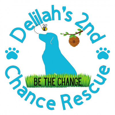 Delilahs 2nd Chance - Pet Shelter and Rescue in Port St. Lucie, Florida