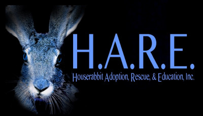 HouseRabbit Adoption, Rescue, And Education, Inc. -- HARE - Pet Shelter and Rescue in South Miami, Florida