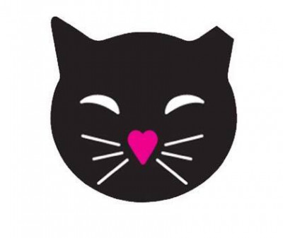 MEOW Now - Pet Shelter and Rescue in St. Petersburg, Florida