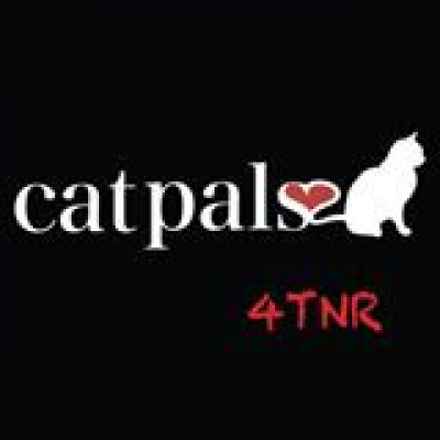 Cat Pals, Inc. - Pet Shelter and Rescue in Dania Beach, Florida