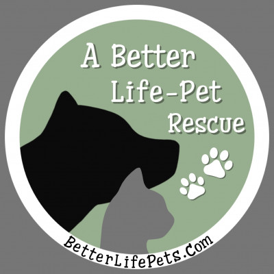 A Better Life - Pet Rescue - Pet Shelter and Rescue in Maitland, Florida