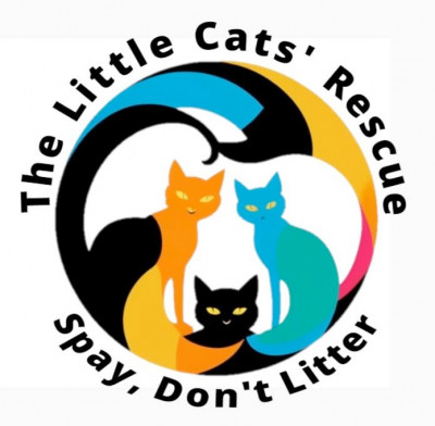 The Little Cats