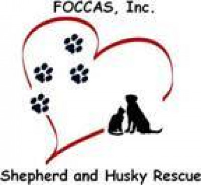 FOCCAS, Inc. - Pet Shelter and Rescue in Inverness, Florida