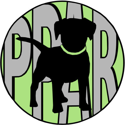 Playful Paws Animal Rescue - Pet Shelter and Rescue in Gibsonton, Florida