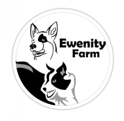 Ewenity Farm, A Herding Dog Haven, Inc. - Pet Shelter and Rescue in Lakewood Ranch, Florida