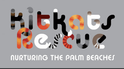 KitKats Rescue - Pet Shelter and Rescue in Delray Beach, Florida