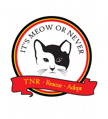 Its Meow Or Never For Ferals, Inc. - Pet Shelter and Rescue in Tallahassee, Florida