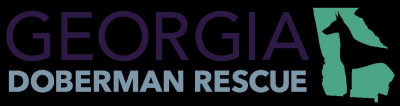 Georgia Doberman Rescue - Pet Shelter and Rescue in Douglasville, Georgia