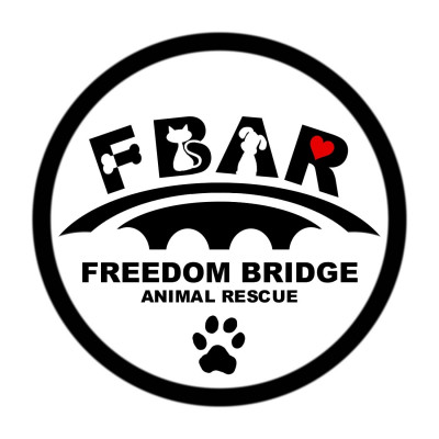 Freedom Bridge Animal Rescue - Pet Shelter and Rescue in Kingsland, Georgia