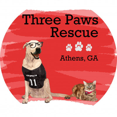 Three Paws Rescue - Pet Shelter and Rescue in Atlanta, Georgia