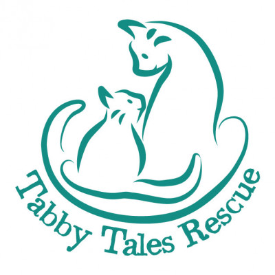 Tabby Tales Rescue - Pet Shelter and Rescue in Wilmington Island, Georgia