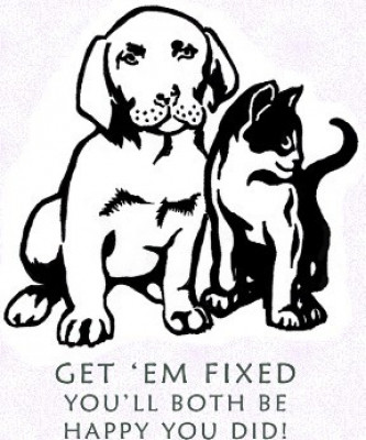 The Rescue Ranch - Pet Shelter and Rescue in McRae-Helena, Georgia