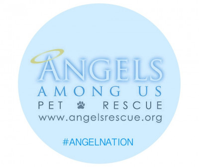 Angels Among Us Pet Rescue, Inc. - Pet Shelter and Rescue in Milton, Georgia