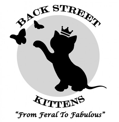 Back Street Kittens, Inc - Pet Shelter and Rescue in Dacula, Georgia
