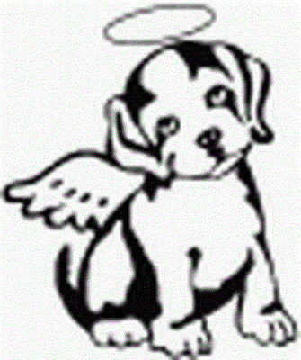 Angels Rescue Of North Texas - Pet Shelter and Rescue in Dallas, Texas