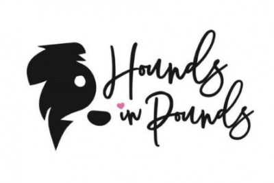 Hounds In Pounds, Inc - Pet Shelter and Rescue in Wayne, New Jersey
