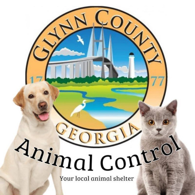 Glynn County Animal Services - Pet Shelter and Rescue in Brunswick, Georgia