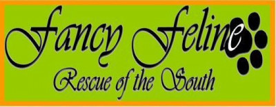 Fancy Feline Rescue Of The South, Inc. - Pet Shelter and Rescue in Powder Springs, Georgia